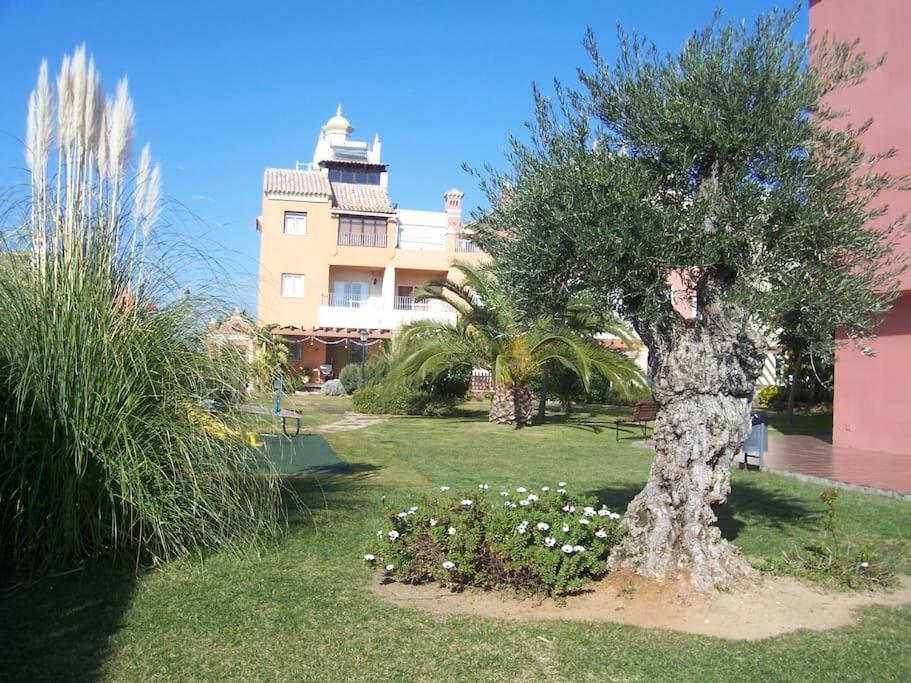 Bajo Con Terraza Piscina Y Jardin Apartment Sanlucar de Barrameda